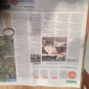 Saturday Telegraph – 7th June 2014