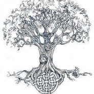In praise of Yewtopia