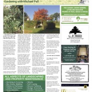 The Moorlander November 2018 – “The falling leaves drift by my window……”
