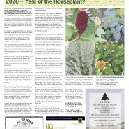 2020 Year of the Houseplant ? – Moorlander January 2020