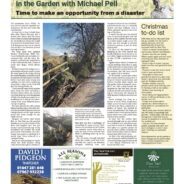 Time to make an opportunity from disaster – Moorlander December 2024