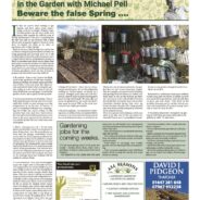 Beware the false Spring -Moorlander February 2024