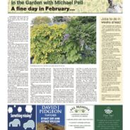 A fine day in February – Moorlander February 2025