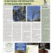In the bleak mid winter – Moorlander January 2024