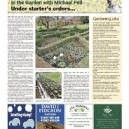 Under starter’s orders – Moorlander March 2025