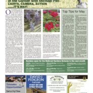 Lights, camera, action….it’s May – Moorlander May 2024