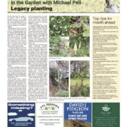 Legacy planting – Moorlander May 2025