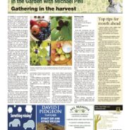 Gathering in the harvest – Moorlander September 2024