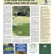 Letting nature take its course – Moorlander July 2025
