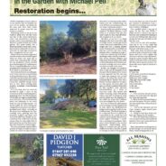 Restoration begins … Moorlander – September 2025