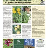 Of Quince & Gillyflowers – Moorlander October 2025