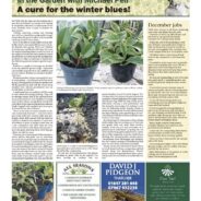 A cure for the Winter blues -Moorlander Nov 2025