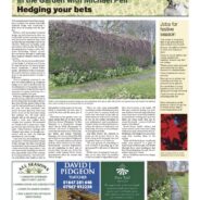 Hedging your bets – December 2025