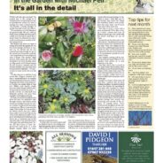 It’s all in the detail – Moorlander February 2026