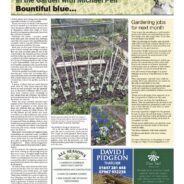 Bountiful blue – Moorlander March 2026